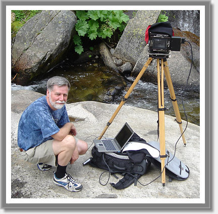 large format digital scanning back