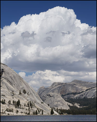 Dicomed Tenaya Lake